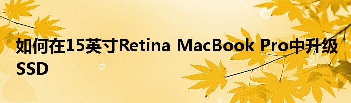 如何在15英寸Retina MacBook Pro中升级SSD