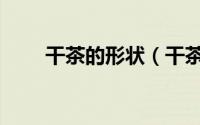 干茶的形状（干茶的外形有哪几种）