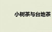 小树茶与台地茶（两者有何区别）