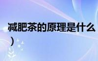 减肥茶的原理是什么（喝茶减肥的原理是什么）