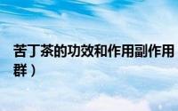 苦丁茶的功效和作用副作用（苦丁茶的作用与功效不适用人群）