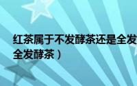 红茶属于不发酵茶还是全发酵茶?（红茶属于半发酵茶还是全发酵茶）