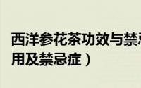 西洋参花茶功效与禁忌（西洋参茶的功效与作用及禁忌症）