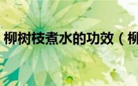 柳树枝煮水的功效（柳树叶煮水有什么功效）