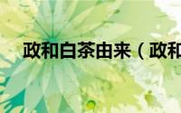 政和白茶由来（政和白茶为什么不出名）