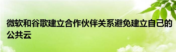 微软和谷歌建立合作伙伴关系避免建立自己的公共云