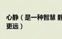 心静（是一种智慧 静下来喝杯茶 让自己走的更远）