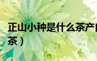 正山小种是什么茶产自哪里（正山小种是什么茶）