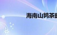 海南山鹑茶的功效与作用