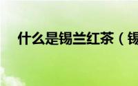 什么是锡兰红茶（锡兰红茶等级怎么分）