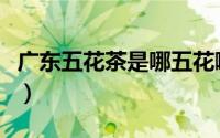 广东五花茶是哪五花啊（广东五花茶是哪五花）