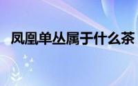 凤凰单丛属于什么茶（凤凰单丛什么特点）