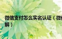 微信支付怎么实名认证（微信支付进行实名认证步骤流程图解）