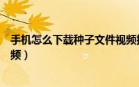 手机怎么下载种子文件视频播放（手机怎么下载种子文件视频）
