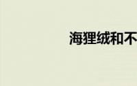 海狸绒和不倒绒哪个好