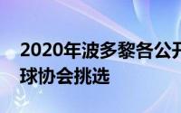 2020年波多黎各公开赛赔率美国职业高尔夫球协会挑选