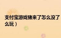 支付宝游戏猪来了怎么没了（支付宝游戏圈猪来了游戏该怎么玩）