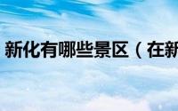 新化有哪些景区（在新化有哪些好玩的景区）