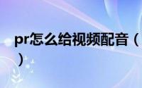 pr怎么给视频配音（Premiere视频配音教程）