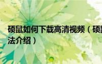 硕鼠如何下载高清视频（硕鼠下载超清/高清/标清视频的方法介绍）