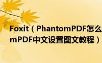 Foxit（PhantomPDF怎么调整成中文界面 Foxit PhantomPDF中文设置图文教程）