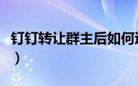钉钉转让群主后如何退群（钉钉怎么转让群主）