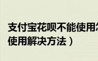 支付宝花呗不能使用怎么办（支付宝花呗不能使用解决方法）