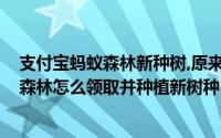 支付宝蚂蚁森林新种树,原来的树在哪儿?（支付宝app蚂蚁森林怎么领取并种植新树种）