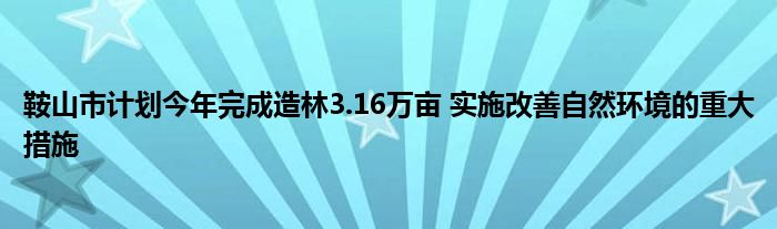 鞍山市计划今年完成造林3.16万亩 实施改善自然环境的重大措施