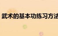 武术的基本功练习方法（武术基本功怎么练）