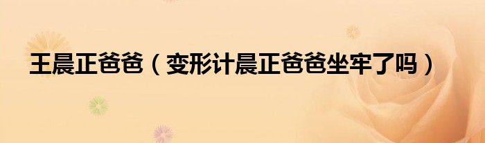 王晨正爸爸（变形计晨正爸爸坐牢了吗）