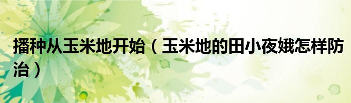 播种从玉米地开始（玉米地的田小夜娥怎样防治）