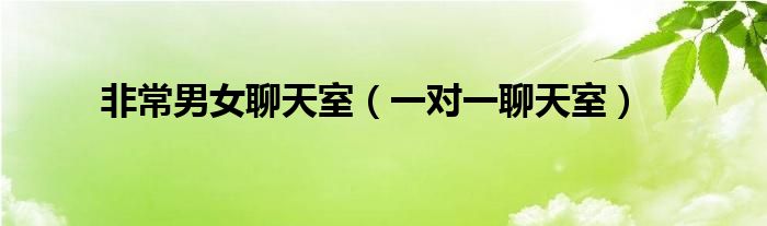 非常男女聊天室（一对一聊天室）