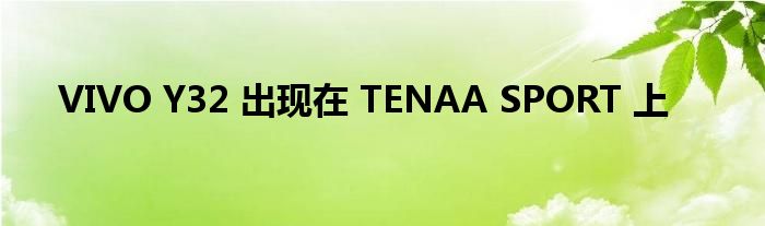 VIVO Y32 出现在 TENAA SPORT 上