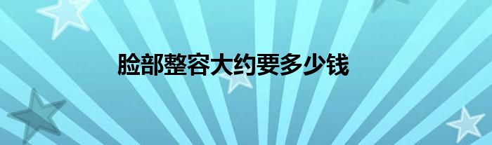 脸部整容大约要多少钱