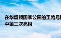 在华盛顿国家公园的圣路易斯红雀队的国家联赛冠军系列赛中第三次亮相