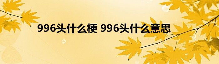 996头什么梗 996头什么意思