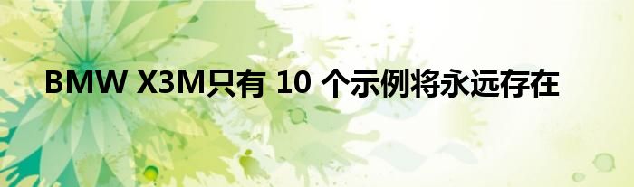BMW X3M只有 10 个示例将永远存在
