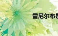 雪尼尔布是什么布料