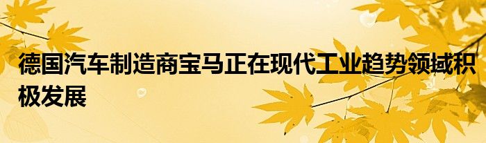 德国汽车制造商宝马正在现代工业趋势领域积极发展