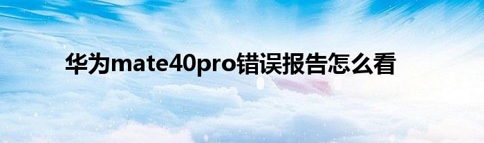 华为mate40pro错误报告怎么看