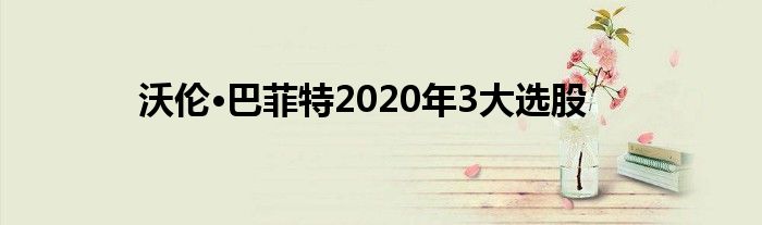 沃伦·巴菲特2020年3大选股