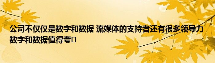 公司不仅仅是数字和数据 流媒体的支持者还有很多领导力 数字和数据值得夸�