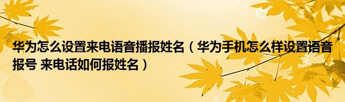 华为怎么设置来电语音播报姓名（华为手机怎么样设置语音报号 来电话如何报姓名）