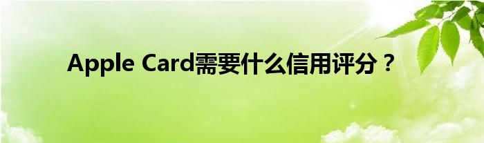 Apple Card需要什么信用评分？