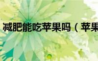 减肥能吃苹果吗（苹果能不能在减肥期间吃）
