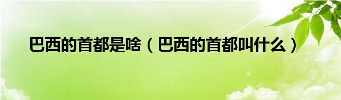 巴西的首都是啥（巴西的首都叫什么）