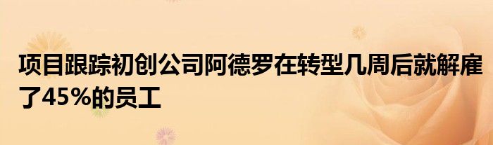 项目跟踪初创公司阿德罗在转型几周后就解雇了45%的员工