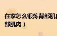 在家怎么锻炼背部肌肉（在家应该怎么锻炼背部肌肉）