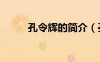 孔令辉的简介（孔令辉个人介绍）